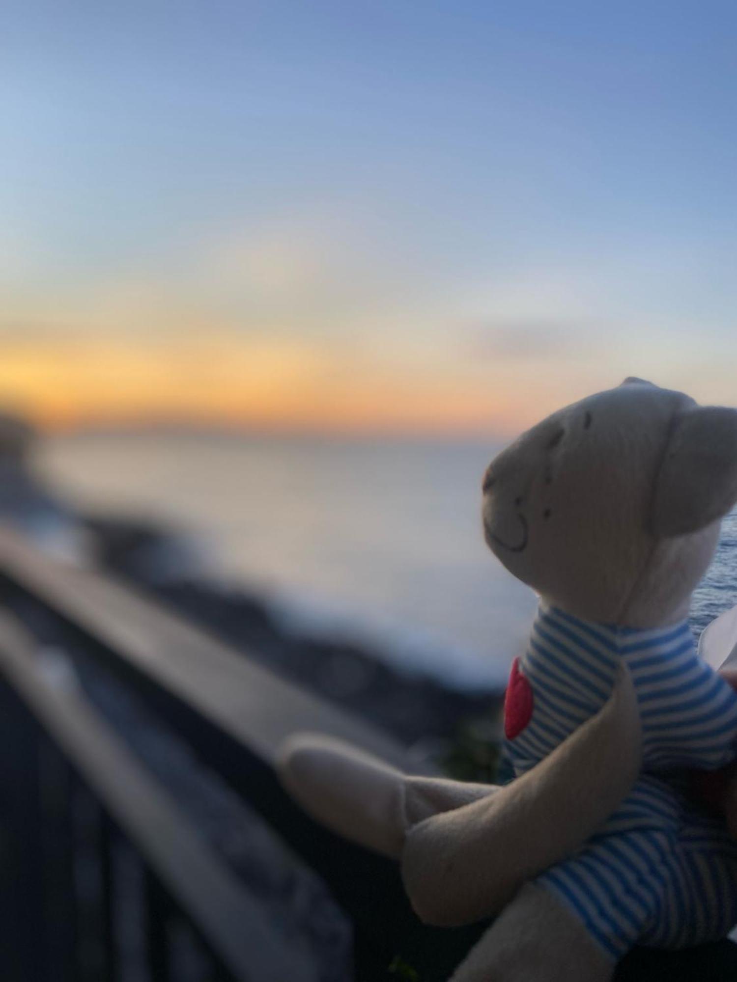 Terrazza Roberto Διαμέρισμα Cefalù Εξωτερικό φωτογραφία